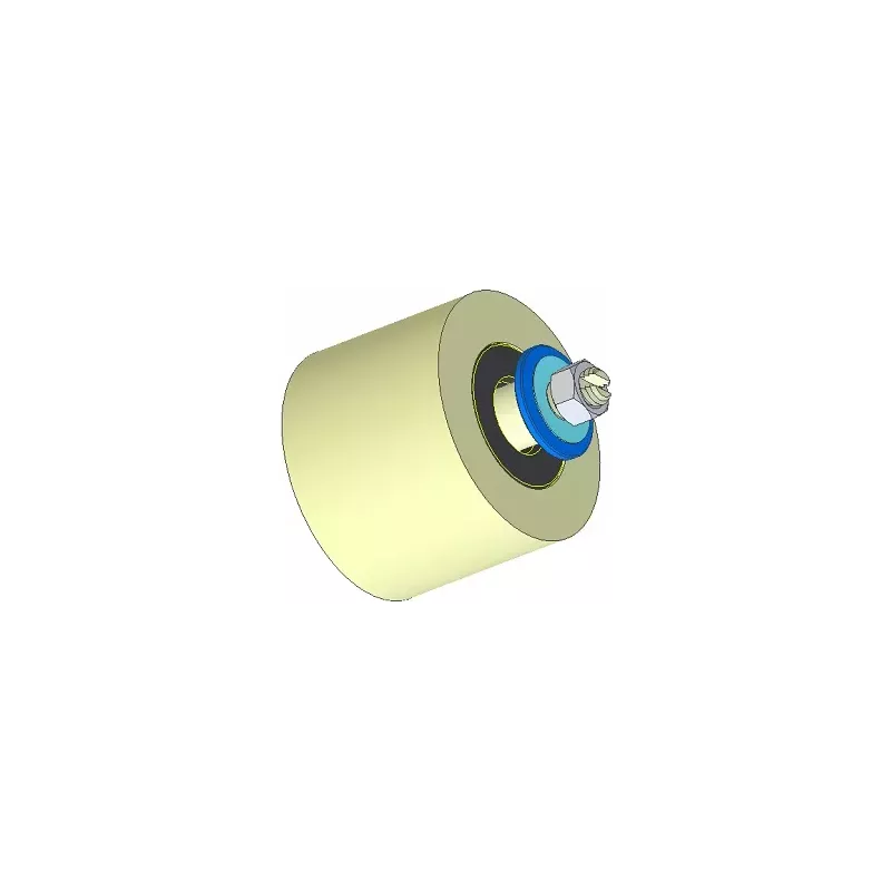 Roller no. 293 – plastic support roller Ø80 mm for Dewulf machines | OEM Dewulf 2660226 | made by KiJ