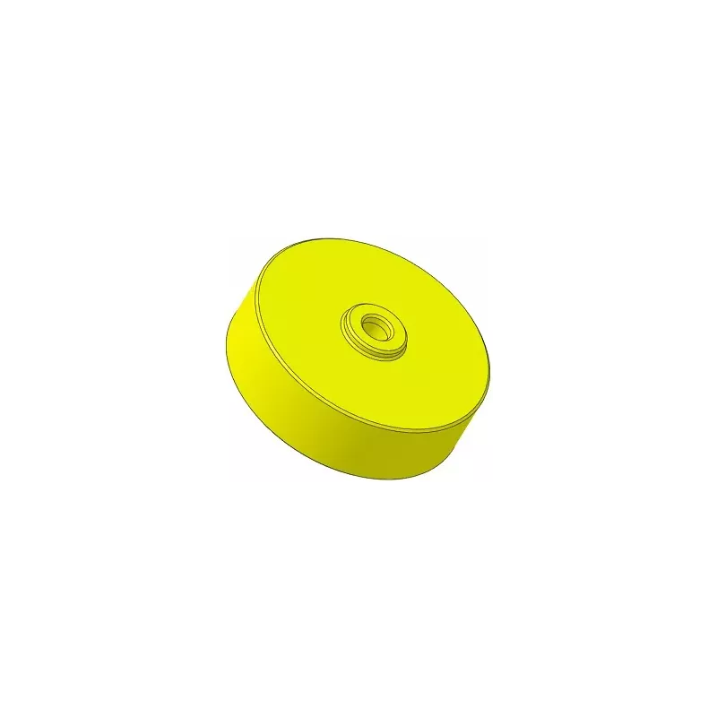 Roller no. 317 – plastic roller Ø100 mm for Guaresi machines | OEM Guaresi P7755190000 | made by KiJ